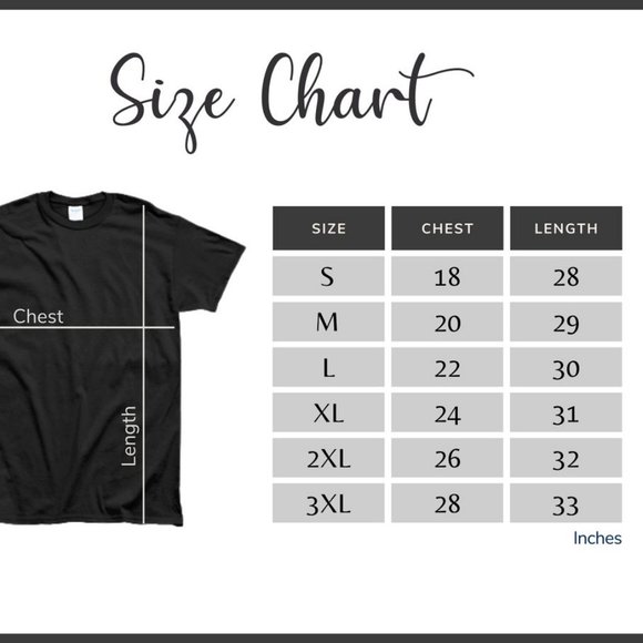 Retro Style Chicago Bulls World Champs Ball Shirt, NBA Basketball Unisex Tee - Picture 2 of 2